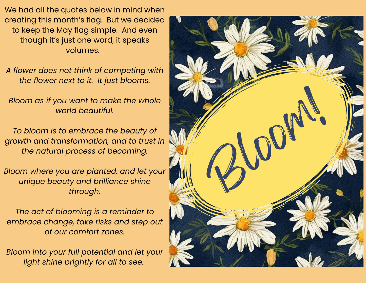 Bloom!